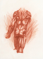 Anatomical Study, Torso 9